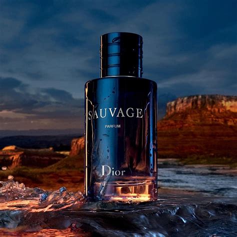 dior sauavge|dior sauvage cheapest price.